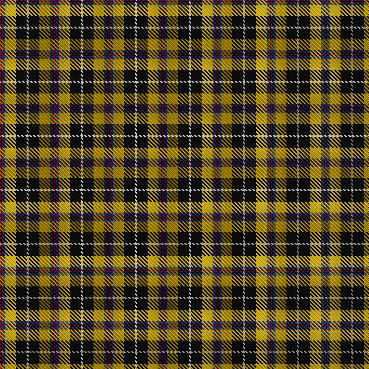 Tartan image: Cornish National #2. Click on this image to see a more detailed version.