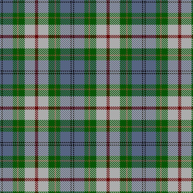 Tartan image: Coulter Dress (Personal). Click on this image to see a more detailed version.