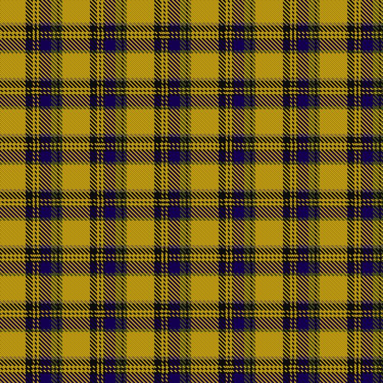 Tartan image: Daks (Chino Check). Click on this image to see a more detailed version.