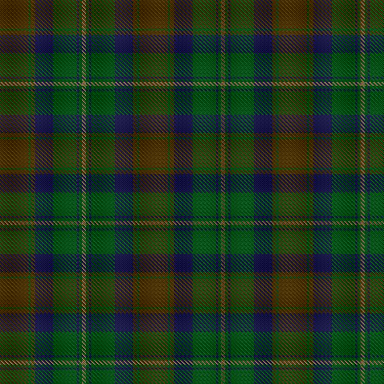 Tartan image: Eastern Western Motor Group, Dalbraith. Click on this image to see a more detailed version.