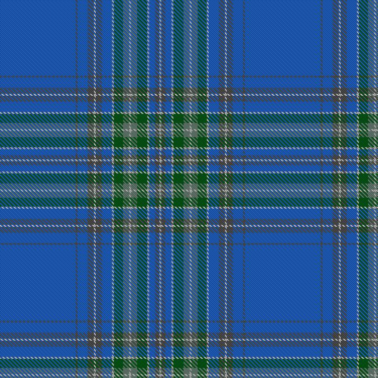 Tartan image: Dallas. Click on this image to see a more detailed version.