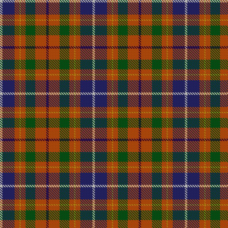 Tartan image: De Maynard (Personal). Click on this image to see a more detailed version.