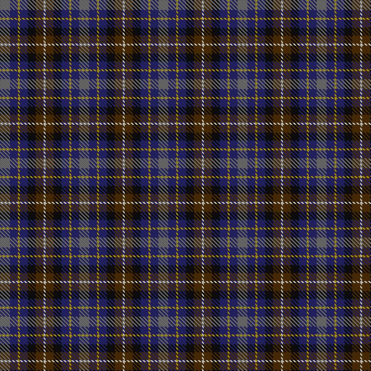 Tartan image: Devon Companion. Click on this image to see a more detailed version.
