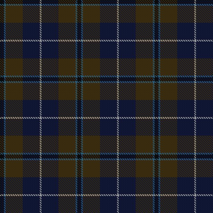 Tartan image: Douglas, (Brown). Click on this image to see a more detailed version.