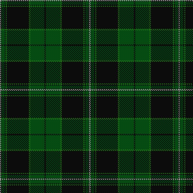 Tartan image: Dropkick Murphys. Click on this image to see a more detailed version.