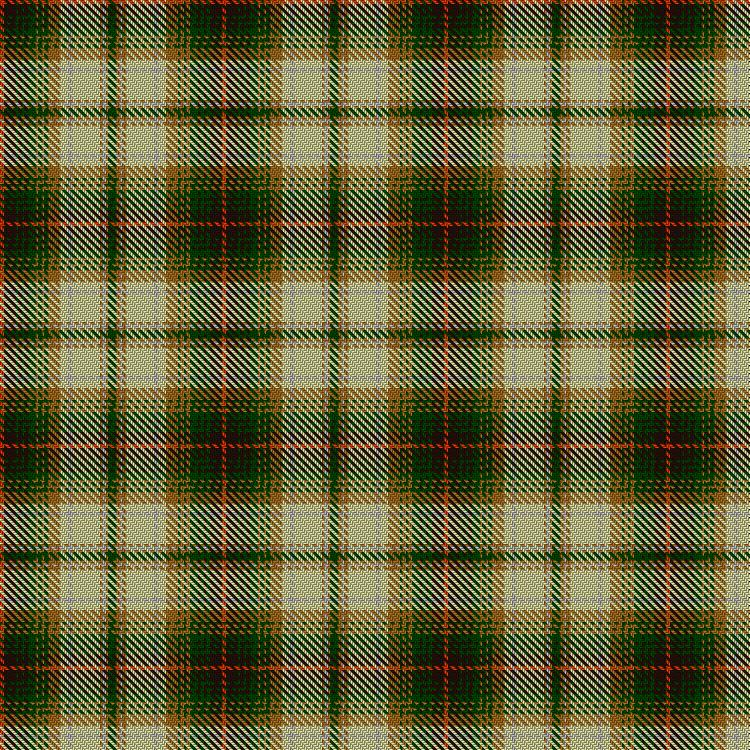 Tartan image: Drymen. Click on this image to see a more detailed version.