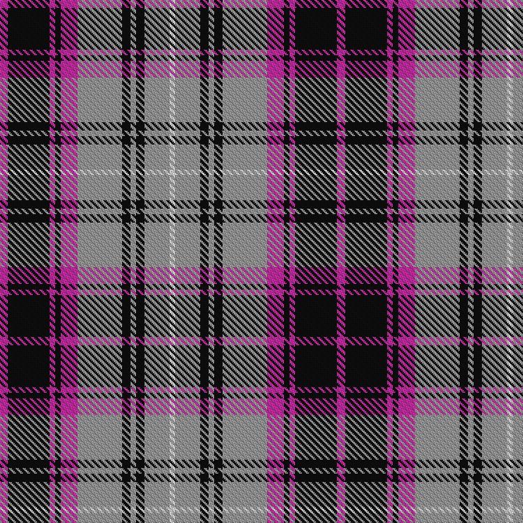 Tartan image: Lunch with an Old Bag (Fundraising Committee)