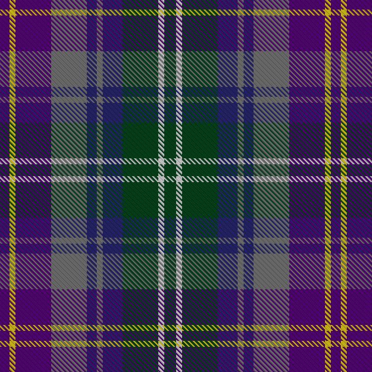 Tartan image: Veitch, H & Family Hunting (Personal)