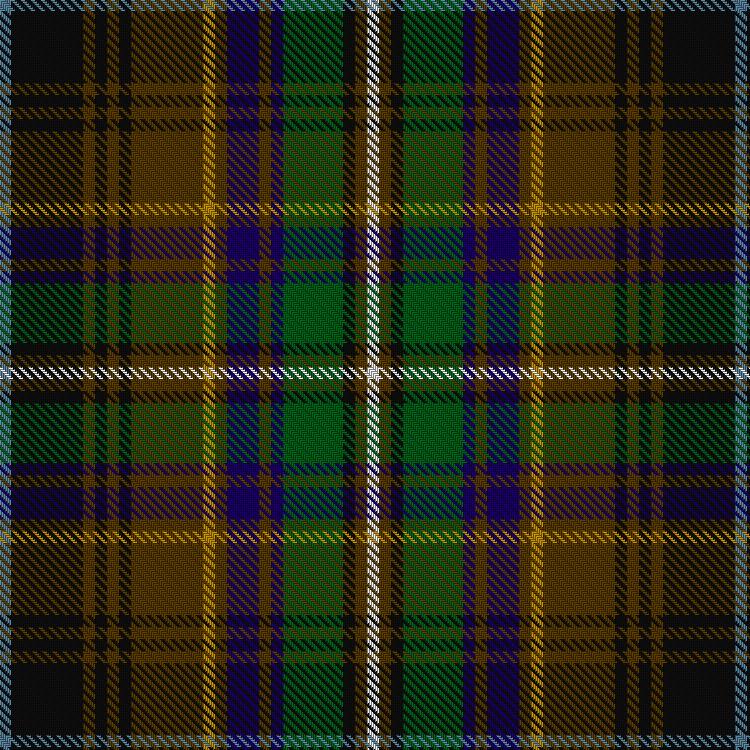 Tartan image: Innes of Learney Hunting (Personal)